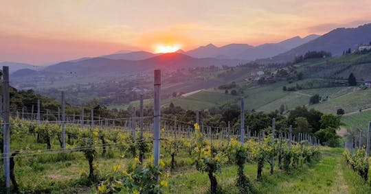 Spettacoli con degustazione all'Azienda Agricola Martinì