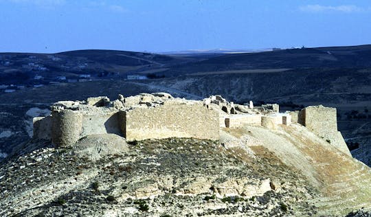 Tour privato di un'intera giornata dei castelli di Karak e Shobak da Petra