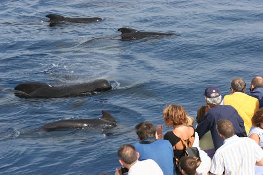 Billet combiné Crocieracquario