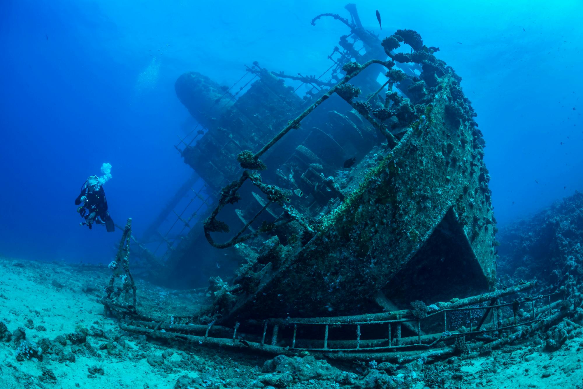 Врек. Затонувший корабль в Египте Тистлегорм. Корабль SS Thistlegorm, красное море. Риф Абу Нухас. Корабль Giannis d, красное море.