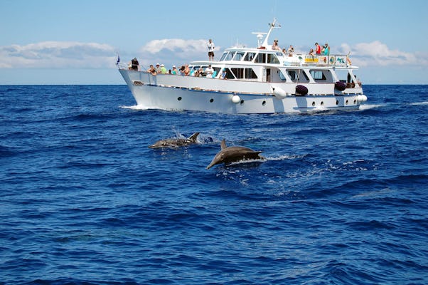 Cruzeiro de Observação de Baleias La Gomera saindo de Playa Santiago