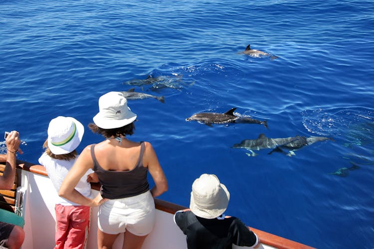 La Gomera Whale Watching Cruise from Playa Santiago