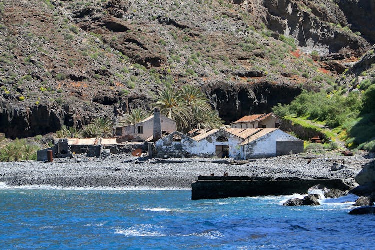 La Gomera Whale Watching Cruise from Playa Santiago