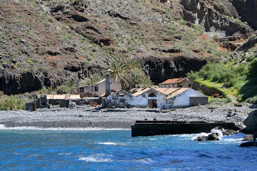 La Gomera Whale Watching Cruises 3–4 hours