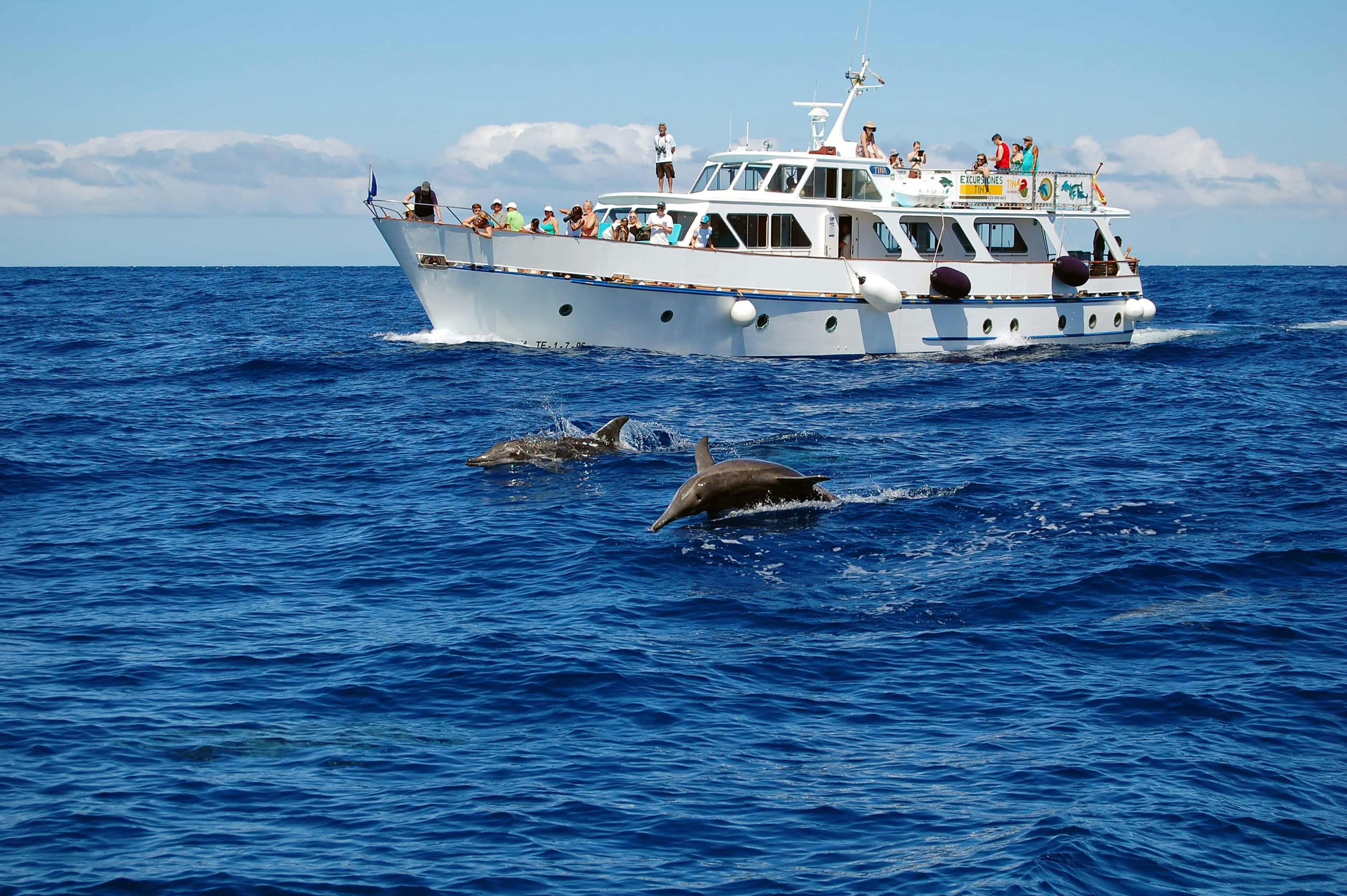 La Gomera Crucero de Avistamiento de Cetáceos desde Playa Santiago
