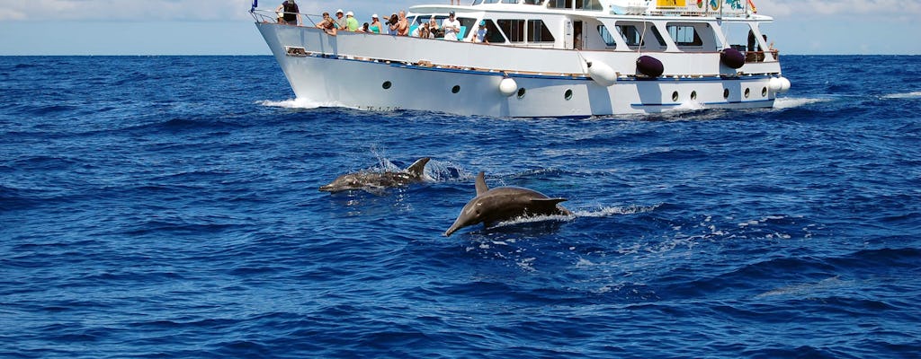 La Gomera Crucero de Avistamiento de Cetáceos desde Playa Santiago
