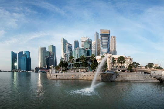 Stadstour van een halve dag in Singapore