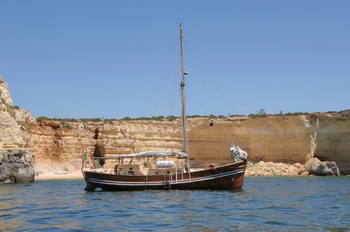 Leãozinho Afternoon Cruise with Transport