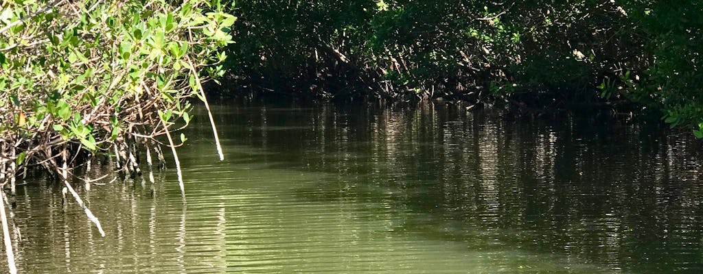 Visite de l'île de Samson sur la lagune de l'Indian River