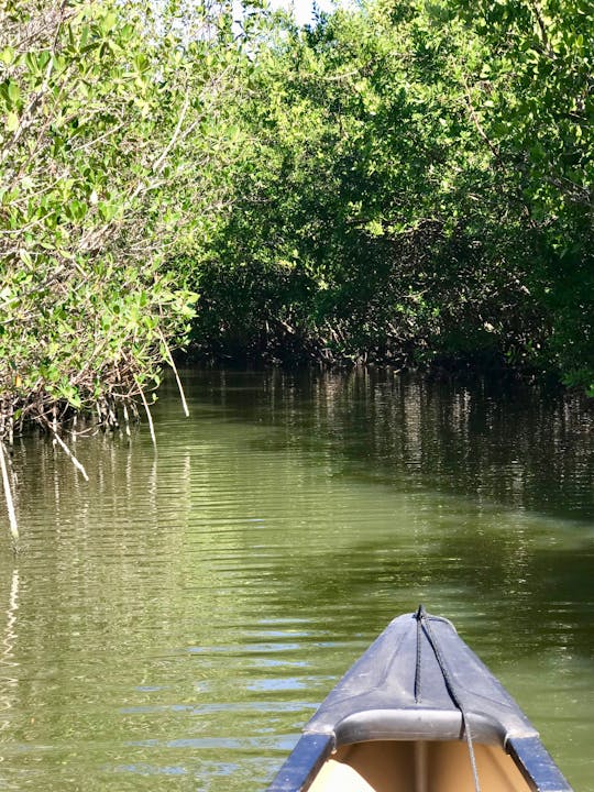 Indian River Lagoon Samson island tour