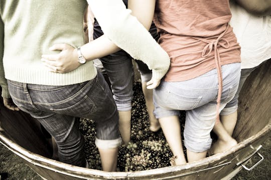 Grape stomping experience at Les Pastras