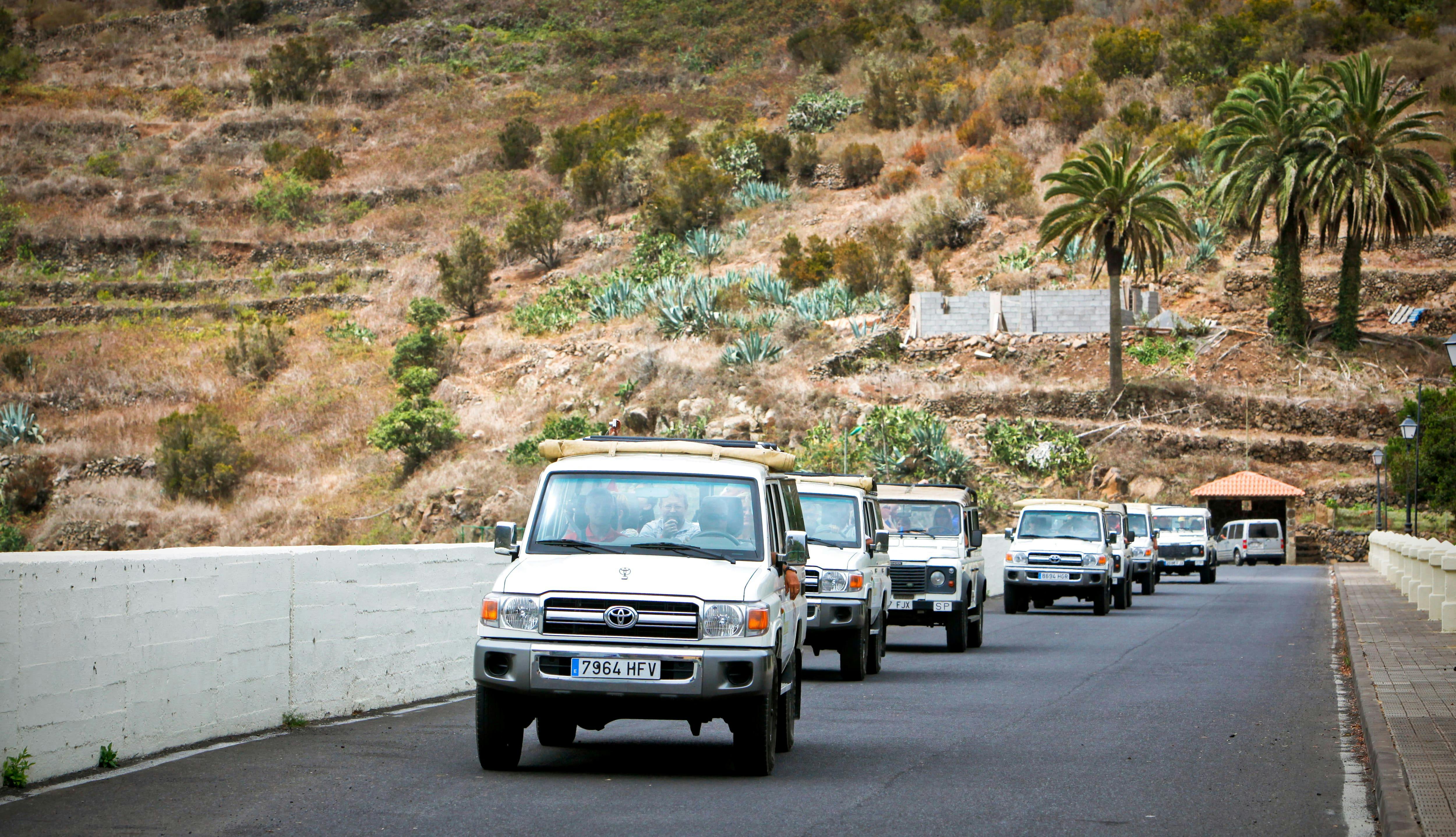 La Gomera 4x4 Safari Tour