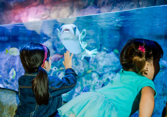 SEA LIFE Aquarium San Antonio tickets