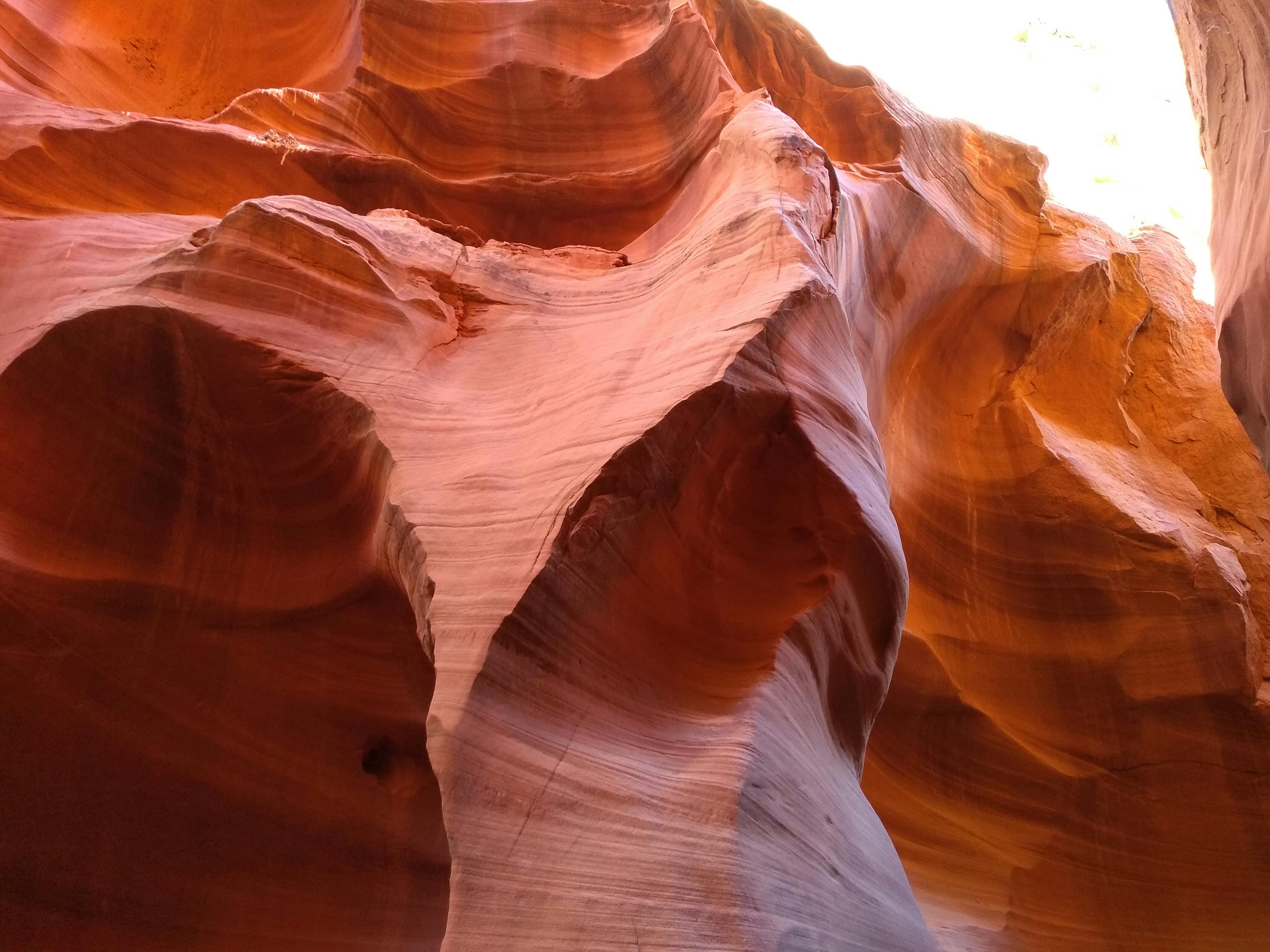 Lower Antelope Canyon and Horseshoe Bend Tour from Las Vegas