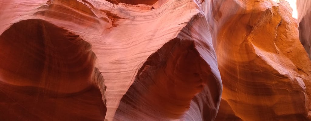 Tour zum Lower Antelope Canyon und Horseshoe Bend ab Las Vegas