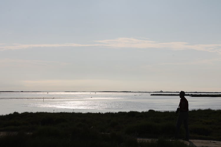 Ebro Delta between lagoons guided tour