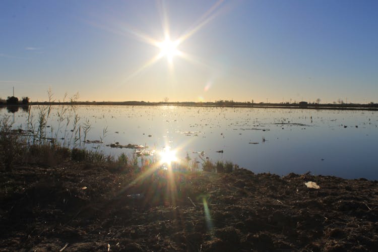 Ebro Delta between lagoons guided tour