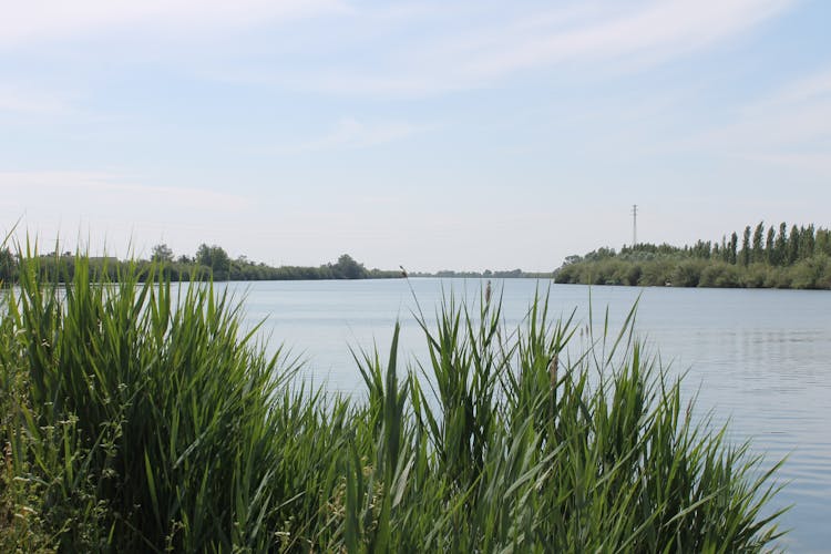 Ebro Delta between lagoons guided tour