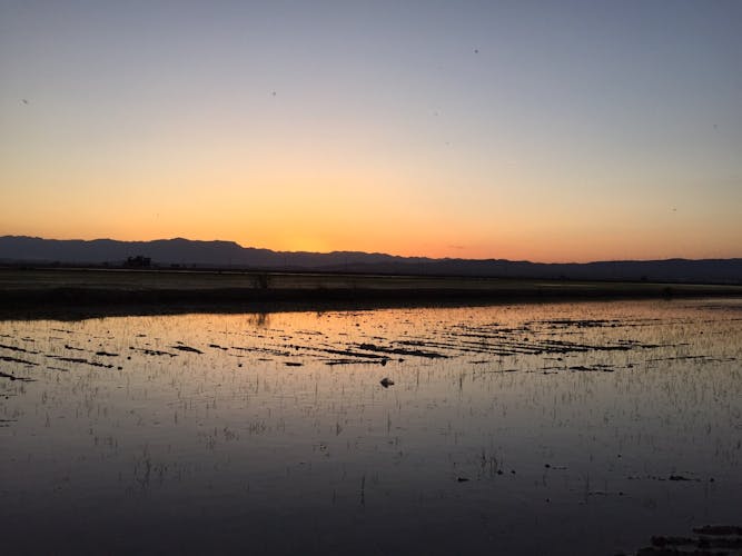 Ebro Delta between lagoons guided tour