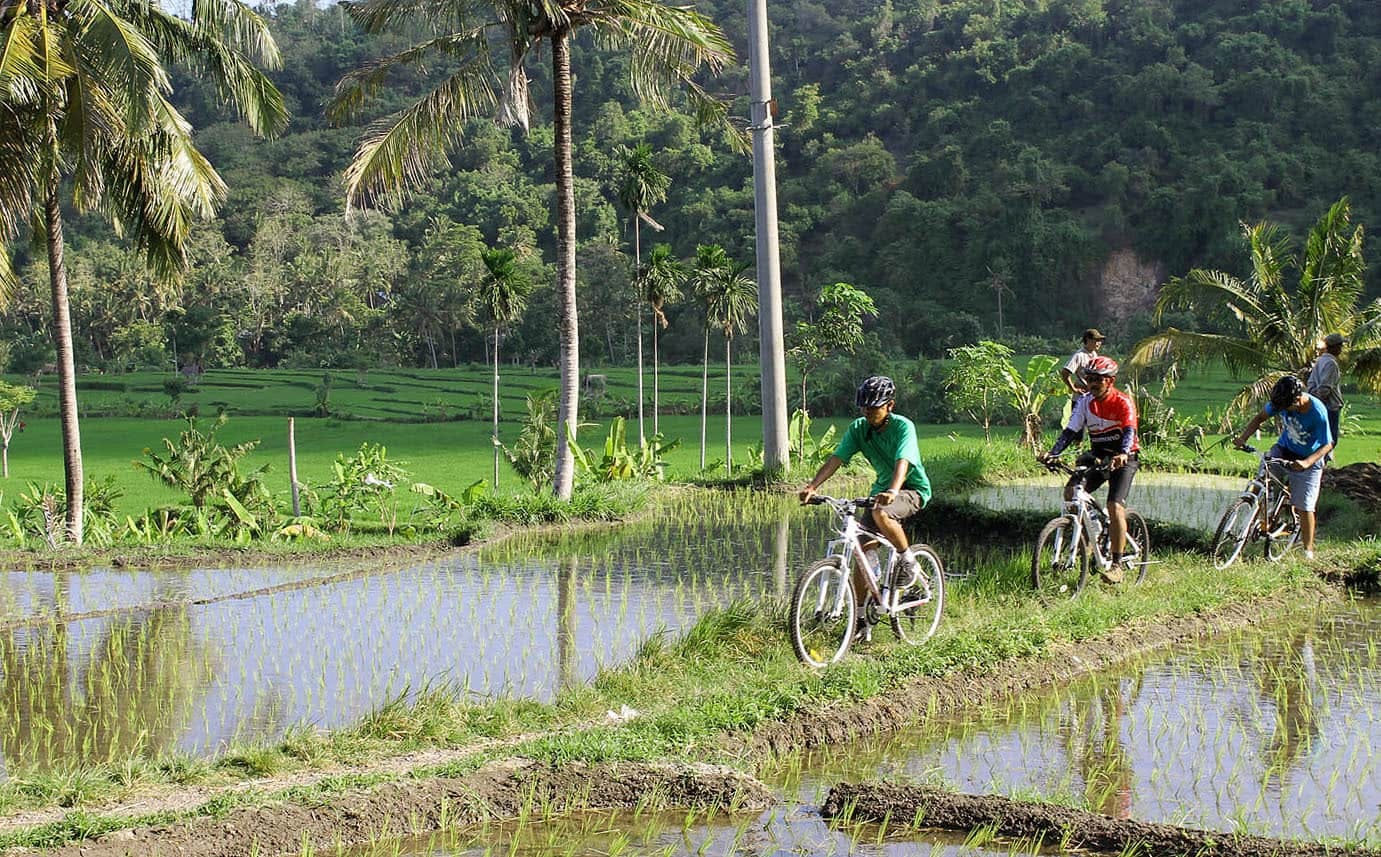 Ost-Bali klassische Geländewagen-Safari mit Fahrradtour