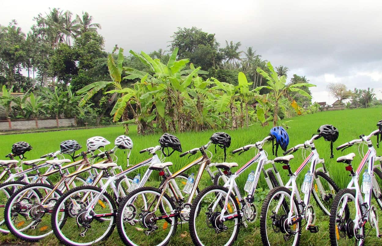 Eastern Bali Classic 4x4 Safari with Cycling Tour