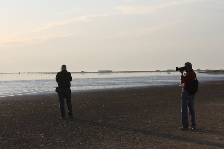 Ebro Delta guided tour