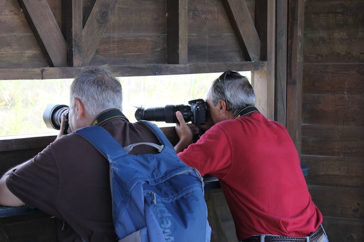 Ebro Delta guided tour