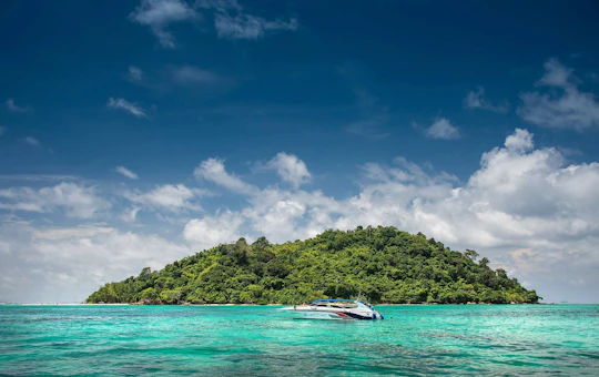 Phi Phi Islands Speedboat Tour with Ton Sai Beach Lunch