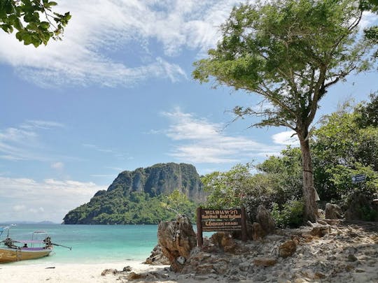 Andamanse Zee Eilandhoppen per Speedboot