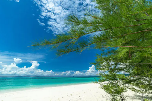 Phi Phi Islands Speedboat Tour with Ton Sai Beach Lunch