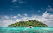 Phi Phi Islands Speedboat Tour With Ton Sai Beach Lunch Musement