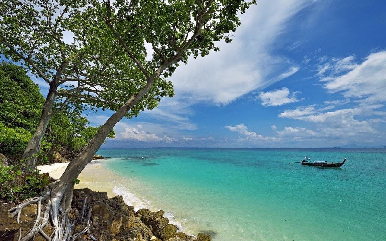 Phi Phi Islands Speedboat Tour with Ton Sai Beach Lunch