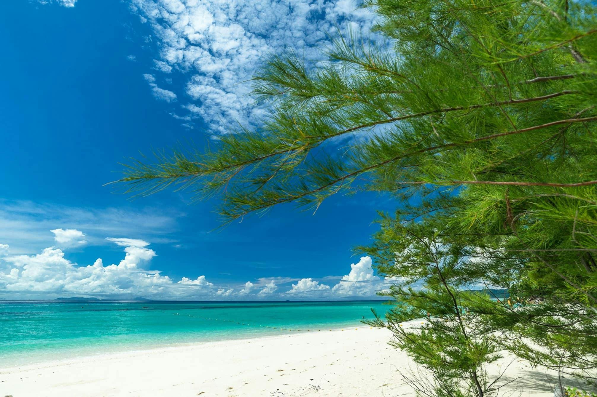 Phi Phi Islands Speedboat Tour with Ton Sai Beach Lunch