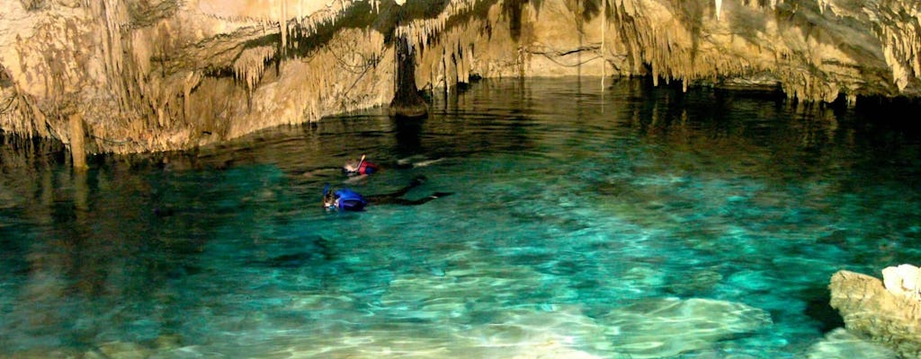 Riviera Maya Snorkel with Turtles