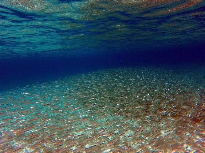 Lanzarote Kayaking & Snorkelling Experience