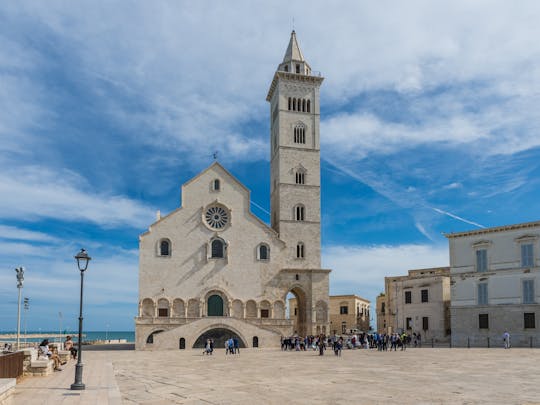 Wycieczka piesza z przewodnikiem po Trani