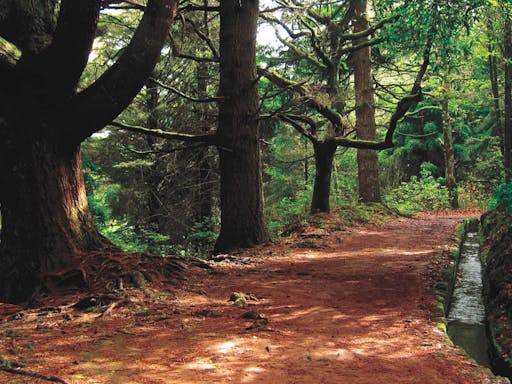 Caldeirão Verde Walk (from the West)
