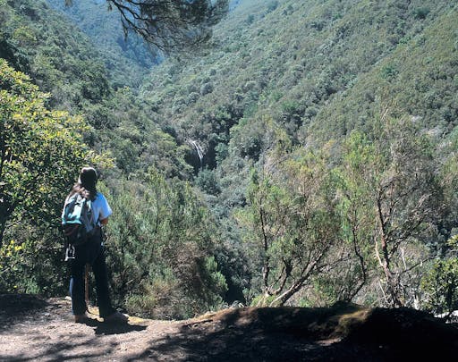 Caldeirão Verde Walk (from the West)
