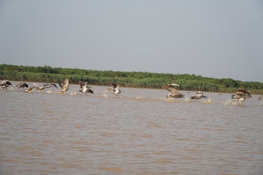 Excursão de dia inteiro na floresta inundada do lago Tonle Sap