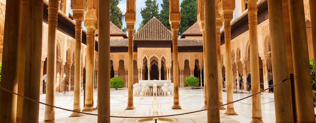Tour privato VIP dell'Alhambra