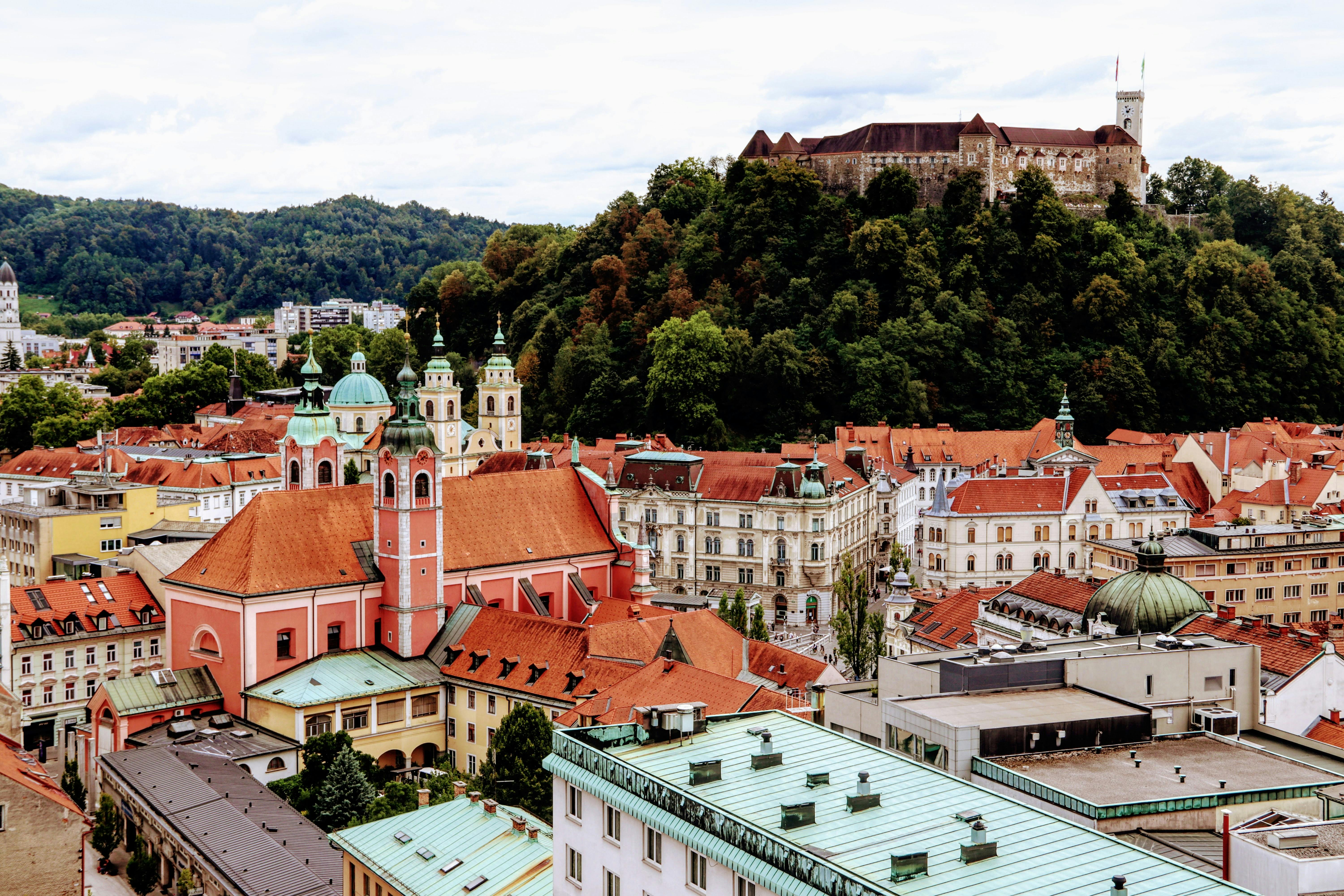 60-minutowa wycieczka piesza po Lublanie z lokalnym