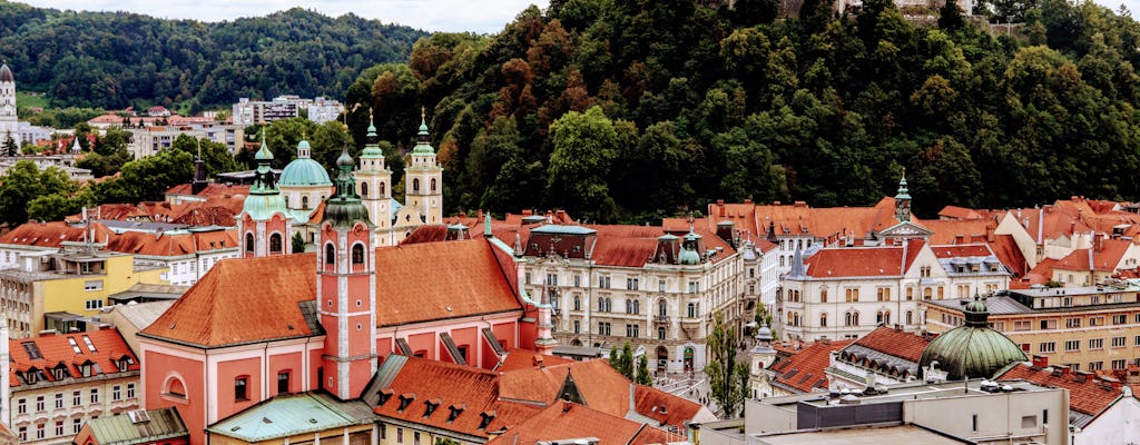 60 minuten wandeltocht in Ljubljana met een local