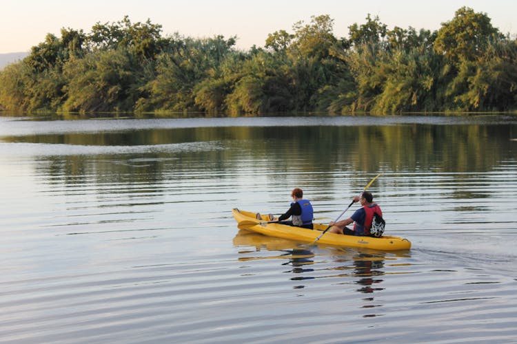 Illa de Gràcia kayak tour