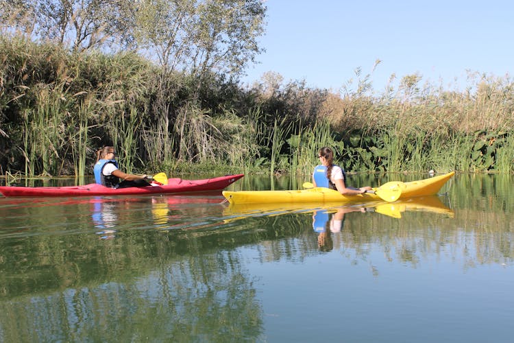 Illa de Gràcia kayak tour