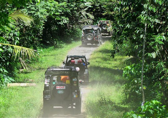Wschodnie Bali - safari pojazdem z napędem 4x4 i ekologiczna wędrówka po plantacji salaku