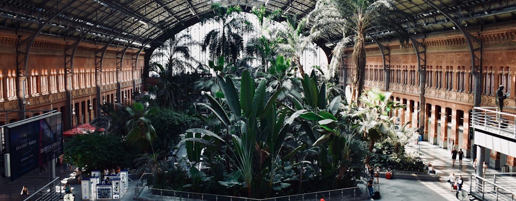 Guided tour to Madrid's photogenic places with a local