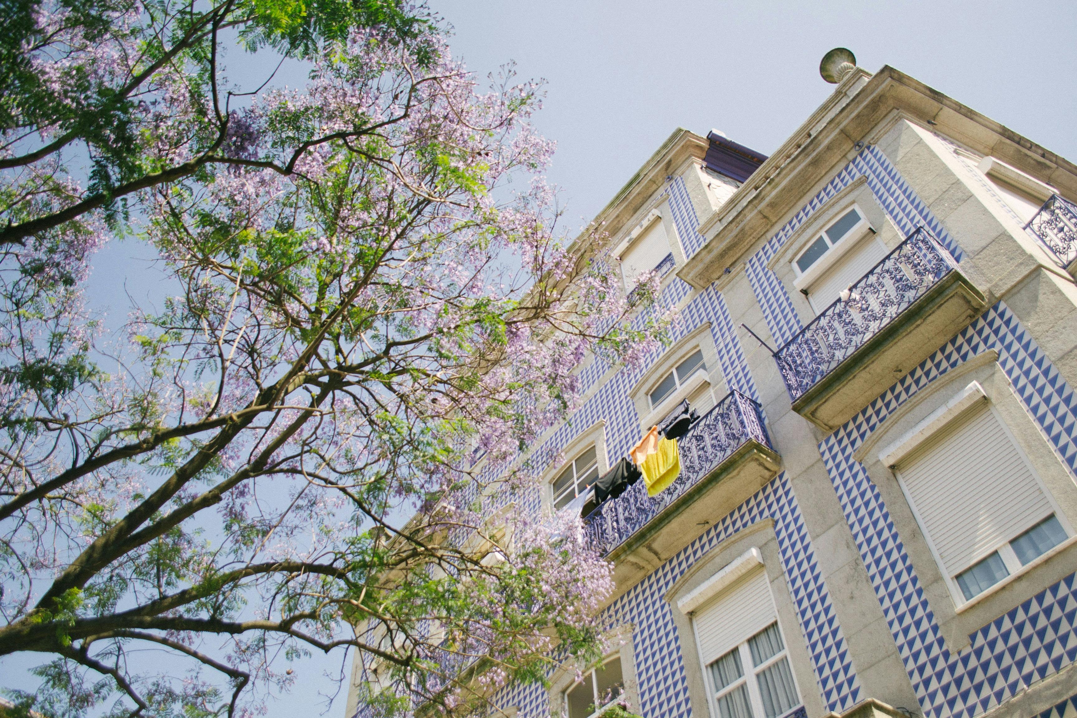 Rundgang durch Portos fotogenste Orte mit einem Einheimischen