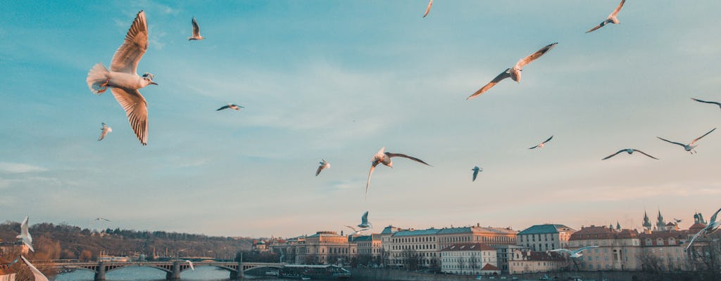 Visite à pied des sites les plus photogéniques de Prague avec un local