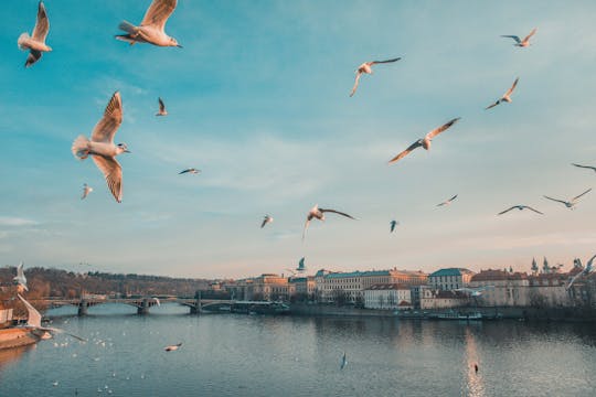 Guided tour to Prague´s photogenic places with a local