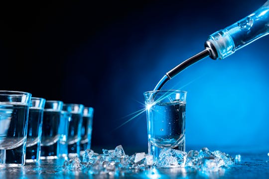 Private vodka tasting tour in Czestochowa